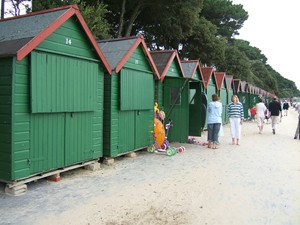 Beach huts for hire, Avon Beach